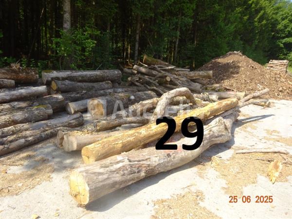 Grote foto 1 voorraad hout voor brandhout gelegen op de binnenplaats over een lengte van 50m inclusief een doe het zelf en verbouw ijzerwaren en bevestigingsmiddelen