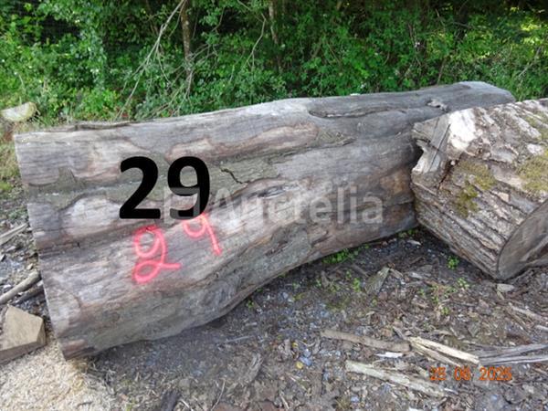 Grote foto 1 voorraad hout voor brandhout gelegen op de binnenplaats over een lengte van 50m inclusief een doe het zelf en verbouw ijzerwaren en bevestigingsmiddelen