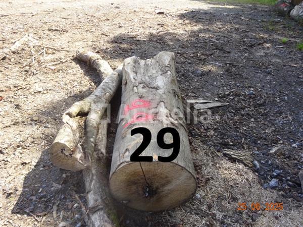 Grote foto 1 voorraad hout voor brandhout gelegen op de binnenplaats over een lengte van 50m inclusief een doe het zelf en verbouw ijzerwaren en bevestigingsmiddelen
