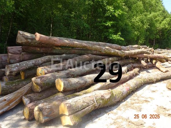 Grote foto 1 voorraad hout voor brandhout gelegen op de binnenplaats over een lengte van 50m inclusief een doe het zelf en verbouw ijzerwaren en bevestigingsmiddelen