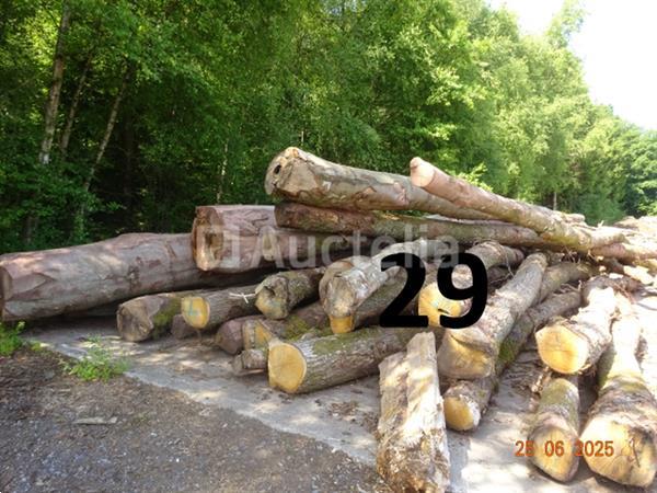 Grote foto 1 voorraad hout voor brandhout gelegen op de binnenplaats over een lengte van 50m inclusief een doe het zelf en verbouw ijzerwaren en bevestigingsmiddelen