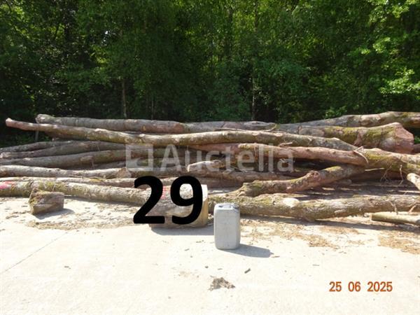 Grote foto 1 voorraad hout voor brandhout gelegen op de binnenplaats over een lengte van 50m inclusief een doe het zelf en verbouw ijzerwaren en bevestigingsmiddelen