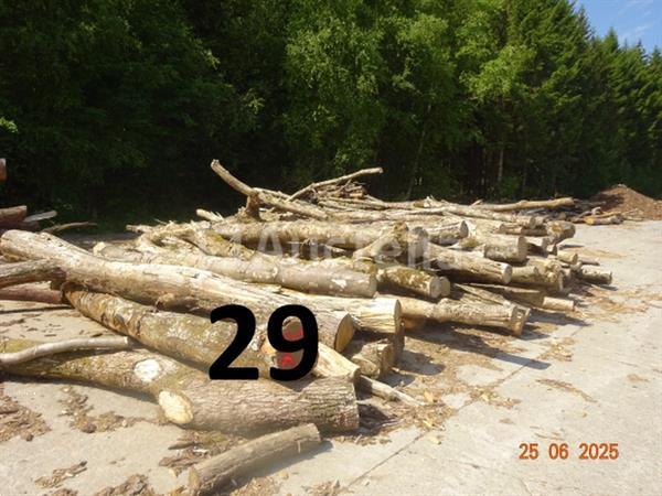 Grote foto 1 voorraad hout voor brandhout gelegen op de binnenplaats over een lengte van 50m inclusief een doe het zelf en verbouw ijzerwaren en bevestigingsmiddelen