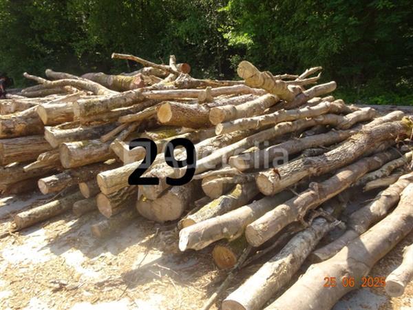 Grote foto 1 voorraad hout voor brandhout gelegen op de binnenplaats over een lengte van 50m inclusief een doe het zelf en verbouw ijzerwaren en bevestigingsmiddelen