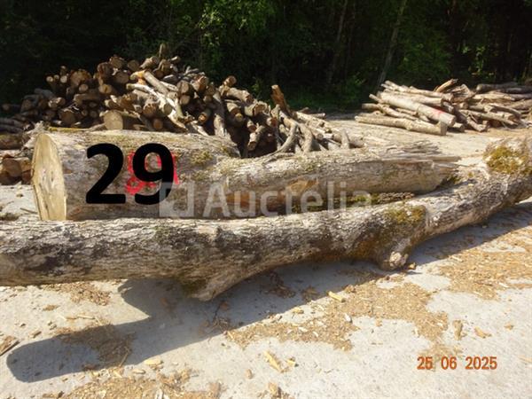 Grote foto 1 voorraad hout voor brandhout gelegen op de binnenplaats over een lengte van 50m inclusief een doe het zelf en verbouw ijzerwaren en bevestigingsmiddelen