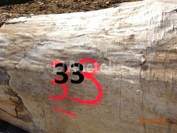Grote foto 1 boomstam op een lengte van 6m diam 1m beginnend voor een einde van 80cm 1 boomstamlengte 6m8 doe het zelf en verbouw ijzerwaren en bevestigingsmiddelen