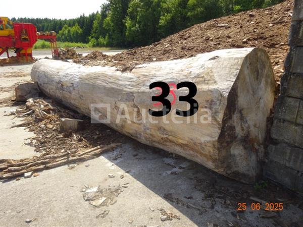 Grote foto 1 boomstam op een lengte van 6m diam 1m beginnend voor een einde van 80cm 1 boomstamlengte 6m8 doe het zelf en verbouw ijzerwaren en bevestigingsmiddelen
