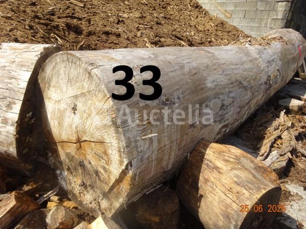 Grote foto 1 boomstam op een lengte van 6m diam 1m beginnend voor een einde van 80cm 1 boomstamlengte 6m8 doe het zelf en verbouw ijzerwaren en bevestigingsmiddelen