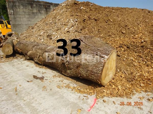 Grote foto 1 boomstam op een lengte van 6m diam 1m beginnend voor een einde van 80cm 1 boomstamlengte 6m8 doe het zelf en verbouw ijzerwaren en bevestigingsmiddelen