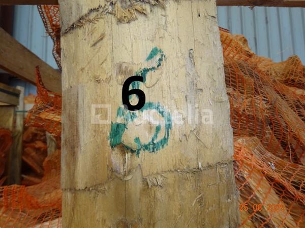 Grote foto 1 rek op pallet met diverse zakken gesneden hout op 1m20 1m 1m hoog doe het zelf en verbouw ijzerwaren en bevestigingsmiddelen