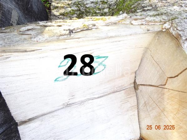 Grote foto 1 set bomen valt over een lengte van 12m op diam. 90cm alleen ter informatie doe het zelf en verbouw ijzerwaren en bevestigingsmiddelen
