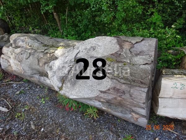 Grote foto 1 set bomen valt over een lengte van 12m op diam. 90cm alleen ter informatie doe het zelf en verbouw ijzerwaren en bevestigingsmiddelen
