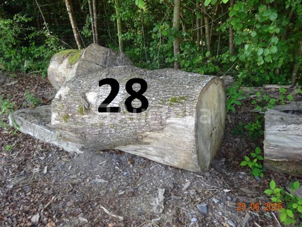 Grote foto 1 set bomen valt over een lengte van 12m op diam. 90cm alleen ter informatie doe het zelf en verbouw ijzerwaren en bevestigingsmiddelen