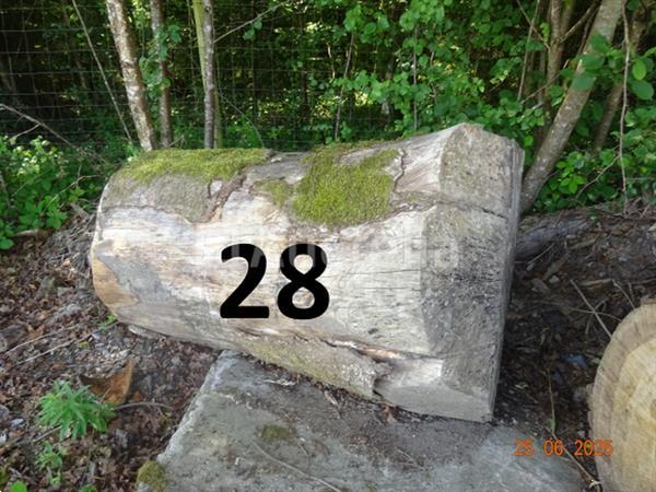 Grote foto 1 set bomen valt over een lengte van 12m op diam. 90cm alleen ter informatie doe het zelf en verbouw ijzerwaren en bevestigingsmiddelen