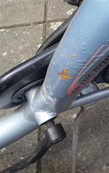Grote foto luxe dames fiets met lage instaap uit australia fietsen en brommers damesfietsen