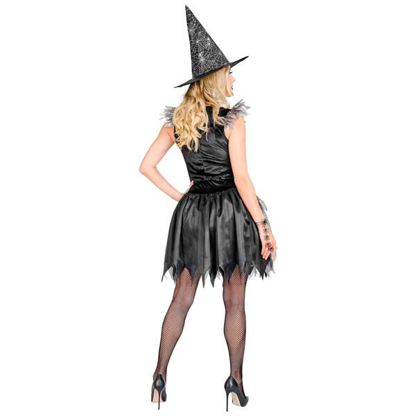 Grote foto halloween kostuum zwart zilver dames heks verzamelen overige verzamelingen