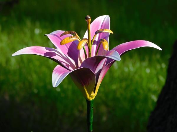 Grote foto handgemaakte lelie tuinsteker 82 cm metaal tuin en terras tuindecoratie