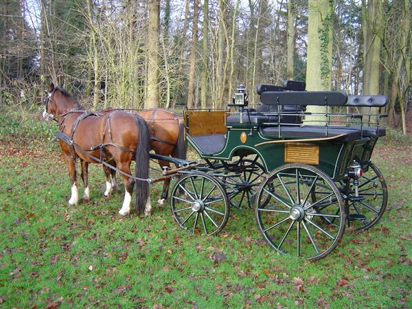 Grote foto koets wagonette eleant nr. 14993 hobby en vrije tijd overige