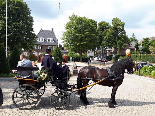 Grote foto koets wagonette eleant nr. 14993 hobby en vrije tijd overige