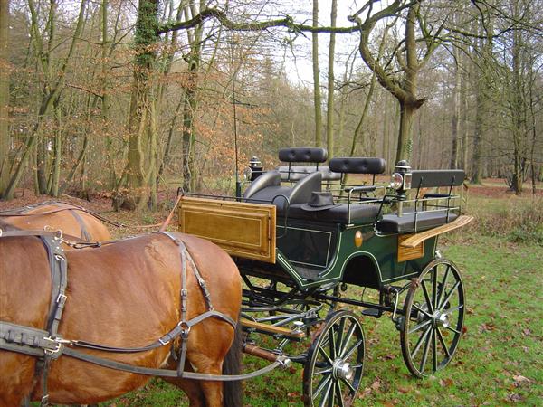 Grote foto koets wagonette eleant nr. 14993 hobby en vrije tijd overige
