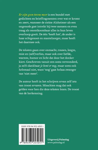 Grote foto er zijn geen torens meer boeken overige boeken