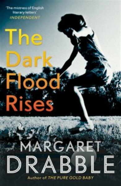 Grote foto dark flood rises boeken overige boeken