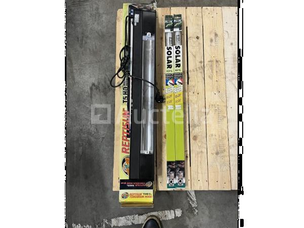 Grote foto reptielen verlichting doe het zelf en verbouw gereedschappen en machines