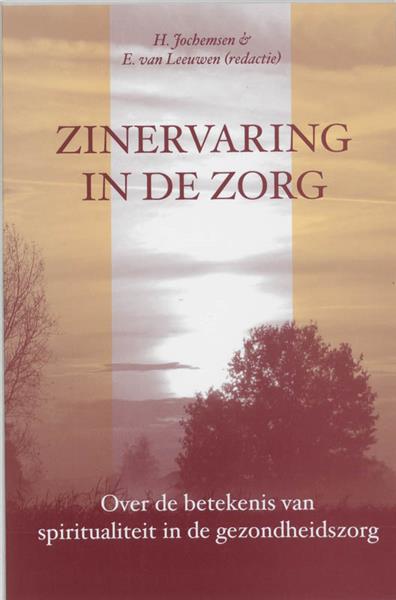 Grote foto zinervaring in de zorg boeken overige boeken