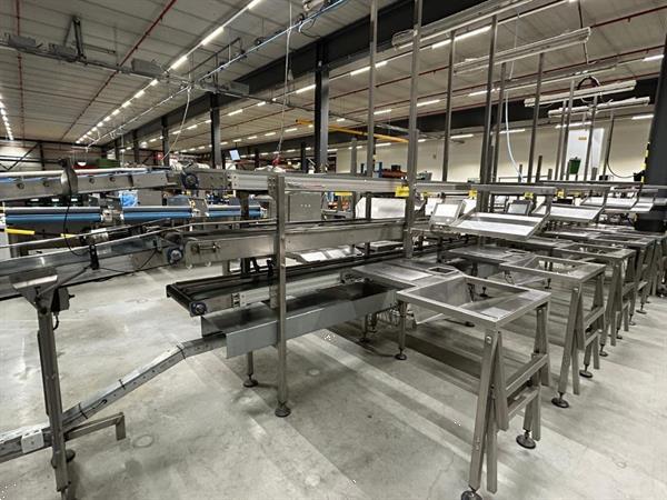 Grote foto acb combi transportband 860 cm met 12 werktafels agrarisch transportbanden