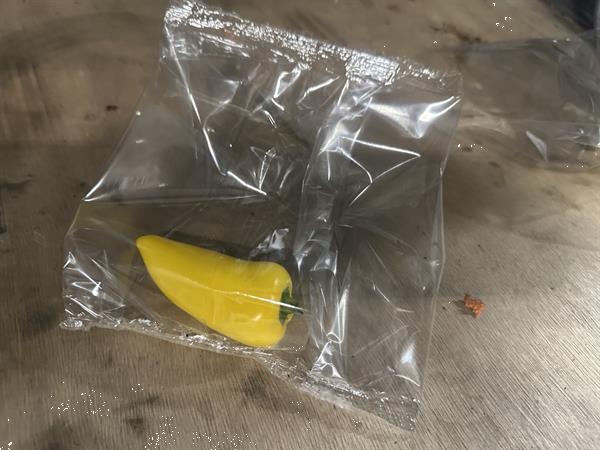 Grote foto sorma bss 134 verticale flowpackmachine agrarisch tuinbouw