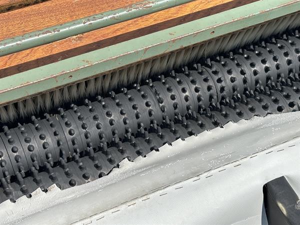 Grote foto compas poetsmachine ontklisteraar voor bloembollen agrarisch tuinbouw