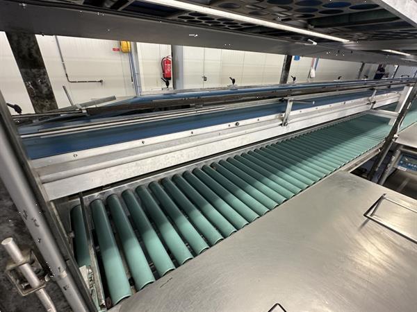 Grote foto martin stolze combi conveyor productie en inpaklijn met 11 marco werktafels met weegschaal agrarisch tuinbouw