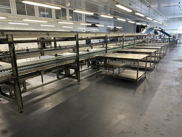 Grote foto martin stolze combi conveyor productie en inpaklijn met 11 marco werktafels met weegschaal agrarisch tuinbouw