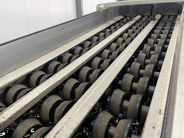 Grote foto aweta gm3 12 1 paprikasorteermachine agrarisch tuinbouw