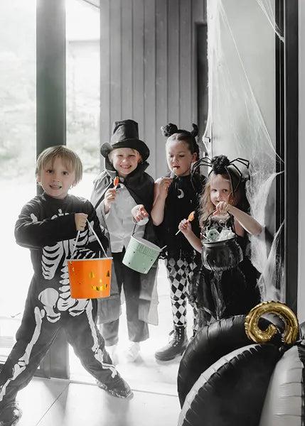 Grote foto spider headband 19x32 cm black verzamelen overige verzamelingen