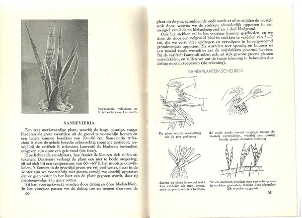Grote foto weten en kunnen nr. 238 de plant in huis 1960 antiek en kunst boeken en bijbels