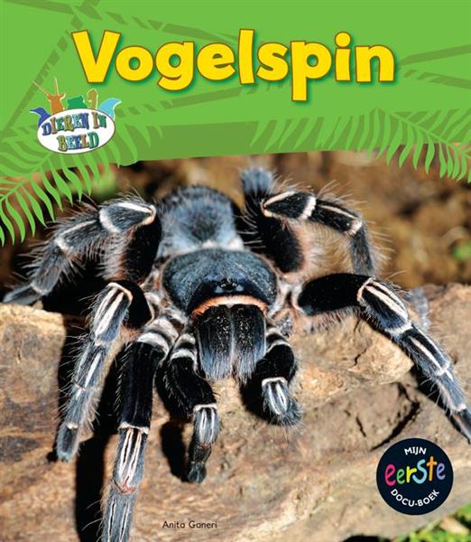 Grote foto vogelspin dieren in beeld boeken overige boeken