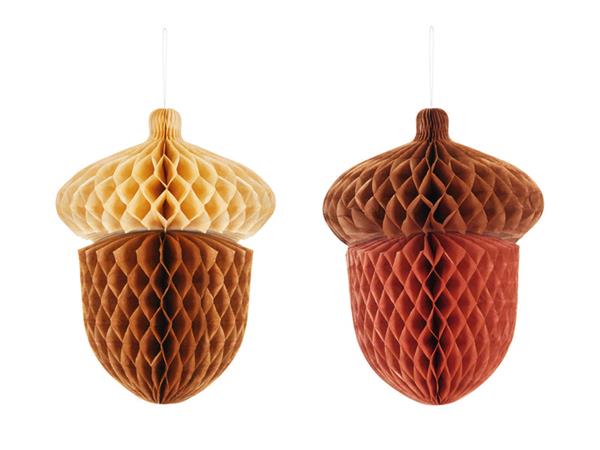 Grote foto honeycomb acorns 27cm mix verzamelen overige verzamelingen