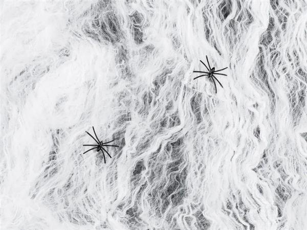 Grote foto spiderweb halloween white 200g verzamelen overige verzamelingen