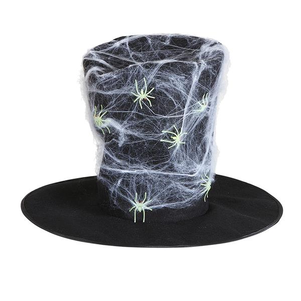 Grote foto halloween hoed spinnenweb verzamelen overige verzamelingen