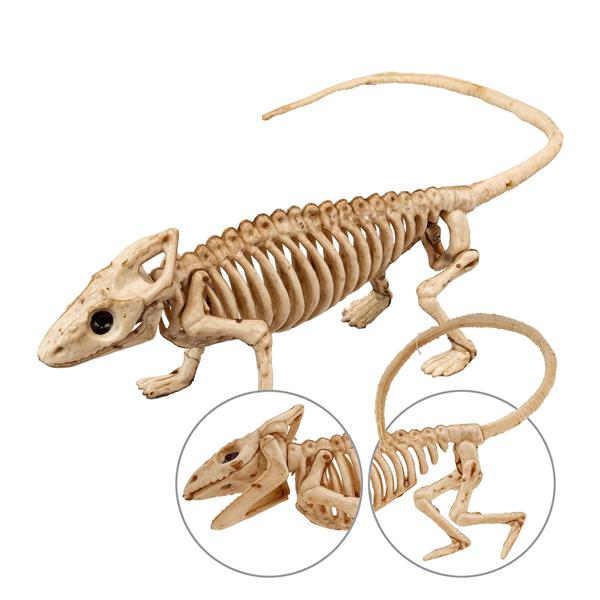 Grote foto halloween skelet leguaan 43cm verzamelen overige verzamelingen