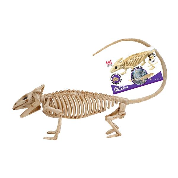 Grote foto halloween skelet leguaan 43cm verzamelen overige verzamelingen
