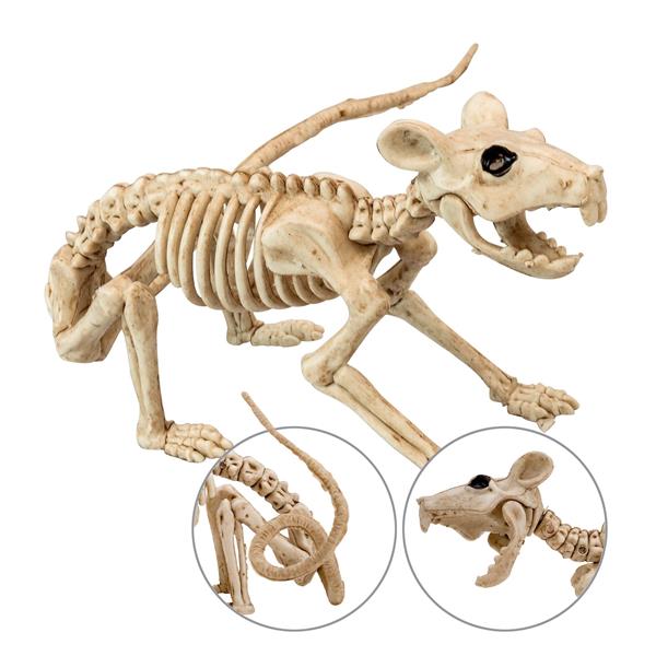 Grote foto halloween skelet rat 40cm verzamelen overige verzamelingen