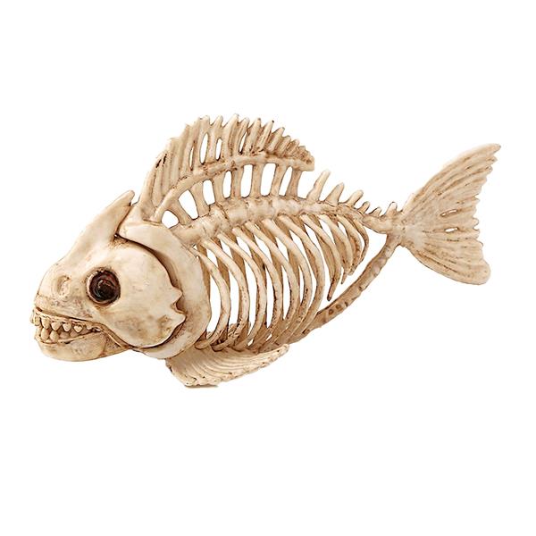 Grote foto halloween skelet vis 23cm verzamelen overige verzamelingen
