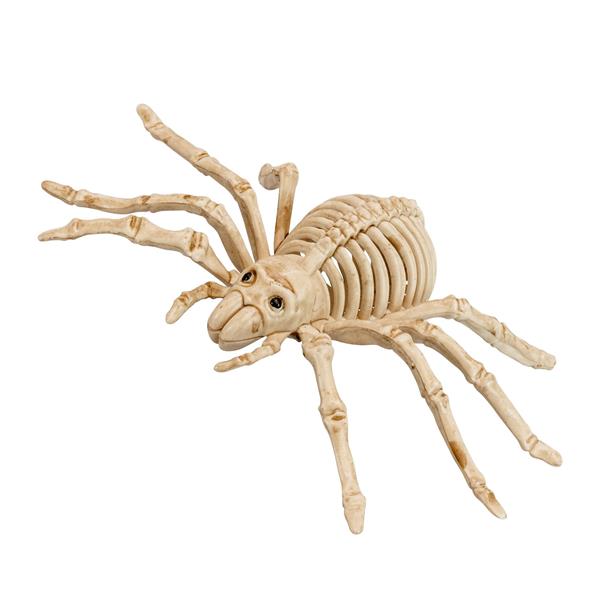 Grote foto halloween nep spin skelet 24cm verzamelen overige verzamelingen
