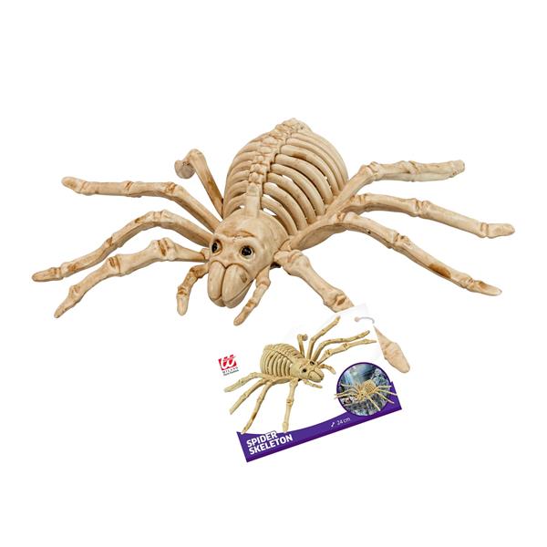 Grote foto halloween nep spin skelet 24cm verzamelen overige verzamelingen