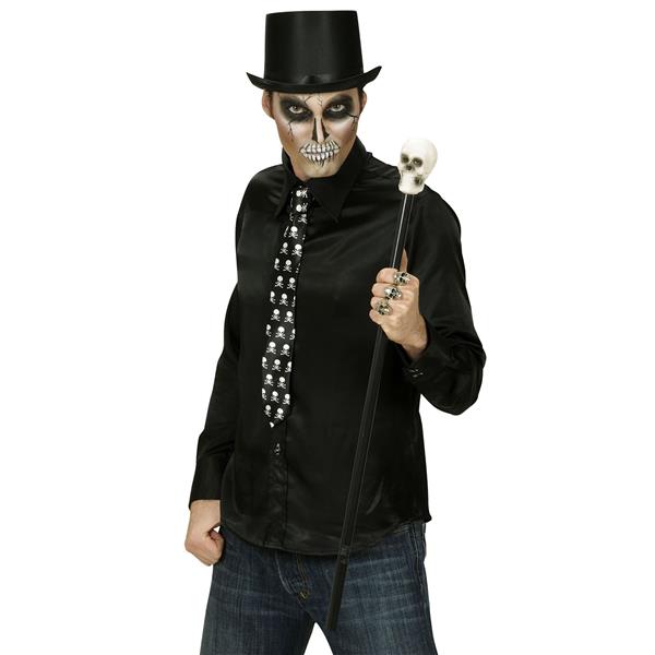Grote foto halloween staf schedel verzamelen overige verzamelingen