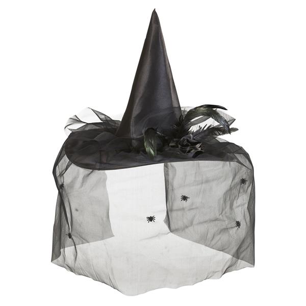 Grote foto halloween heksenhoed zwart sluier verzamelen overige verzamelingen