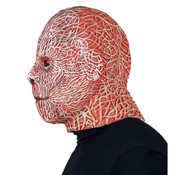 Grote foto halloween masker night stalker verzamelen overige verzamelingen