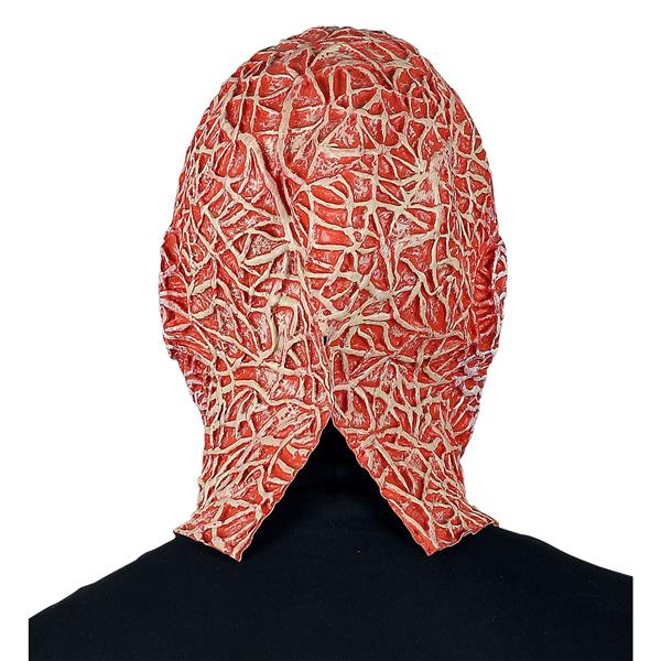 Grote foto halloween masker night stalker verzamelen overige verzamelingen